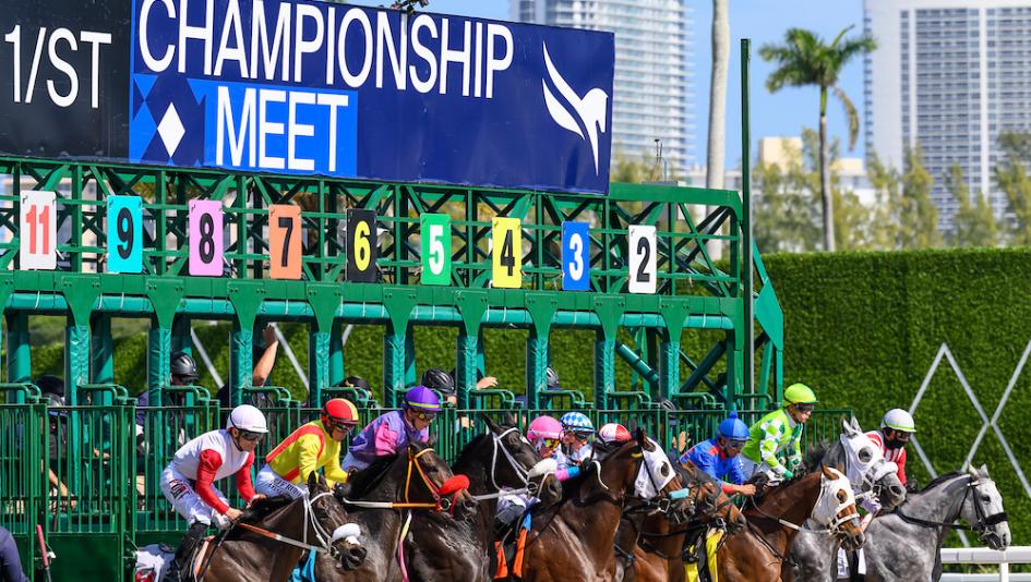 Noel Michaels handicapping, Gulfstream Park, Americas Best Racing Sunday Selections